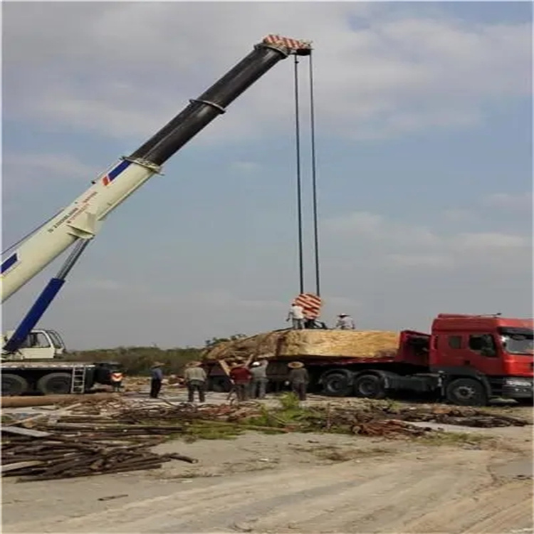 冀州重型设备吊装